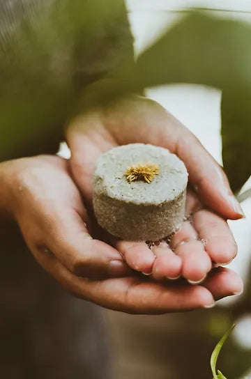 Por que o seu cabelo não se adapta a shampoo sólido? - Caulí Beleza Natural